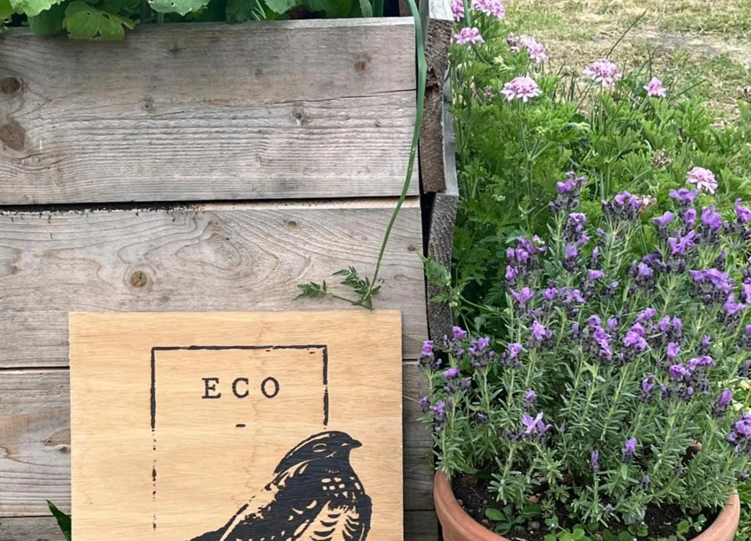 Bed & Breakfast Eco-Immersion Limogne-en-Quercy Francie