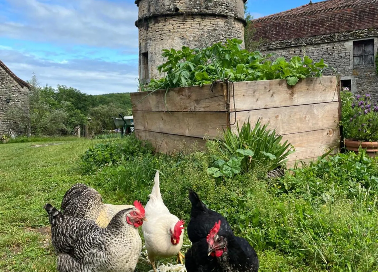 Eco-Immersion Limogne-en-Quercy